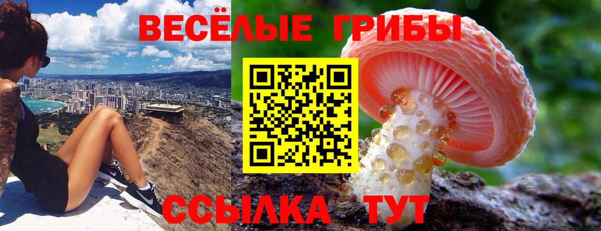Кинель  Галлюциногенные грибы прущие грибы  Галлюциногенные грибы прущие грибы  Вход с VPN 
